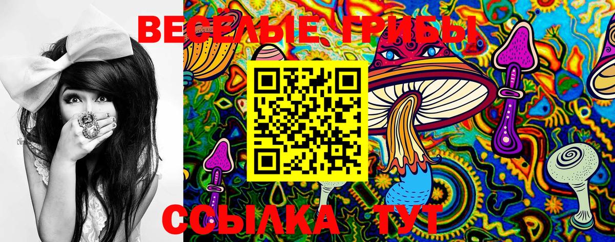 Сердобск  где купить   Вход с VPN  Псилоцибиновые грибы Cubensis 