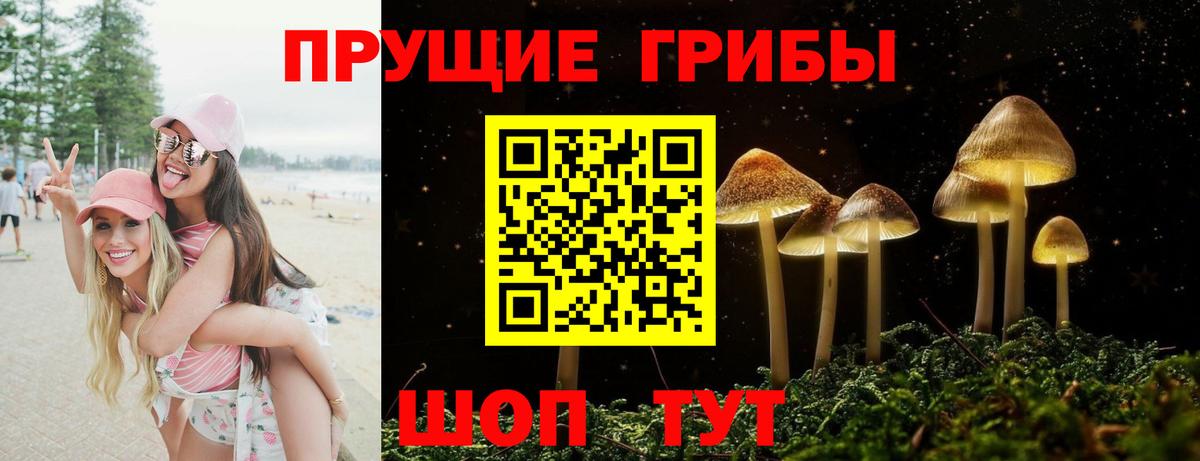 Псилоцибиновые грибы GOLDEN TEACHER Сердобск